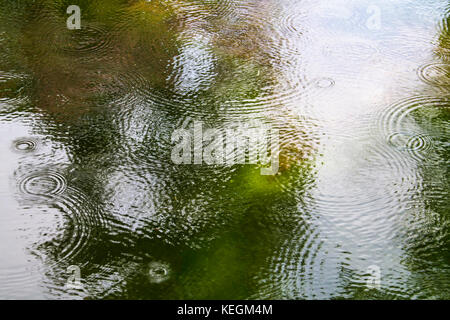 Faites des vagues de gouttes de pluie sur l'eau verte Banque D'Images