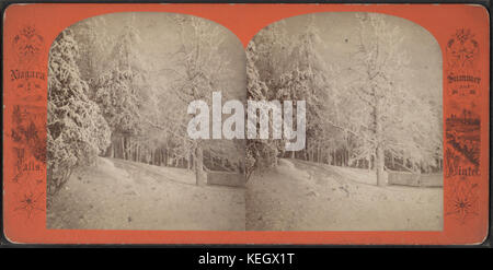 Cette image stéréoscopique de la collection Robert N. Dennis capture une scène froide et glacée à point View, offrant une représentation 3D d’un paysage hivernal. Banque D'Images