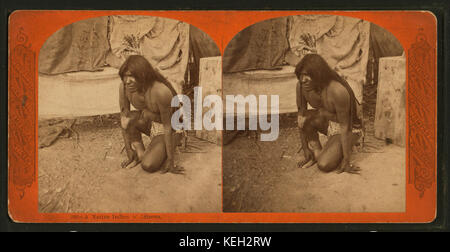 Cette photographie historique réalisée par continent Stereoscopic Company capture un Indien américain de l'Arizona, offrant un aperçu des caractéristiques culturelles et physiques des peuples autochtones à la fin du XIXe siècle. Banque D'Images