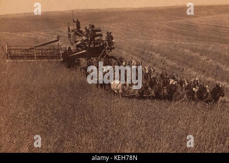Photographie historique montrant une grande moissonneuse-batteuse tirée par 33 chevaux à Walla Walla, Washington, vers 1902, illustrant les premières machines agricoles. Banque D'Images