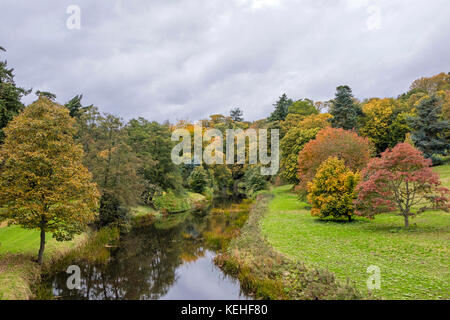 L'automne sur la rivière Aln dans le parc du château d'Alnwick, Alnwick, Northumberland, England, UK Banque D'Images