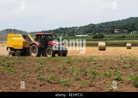 Le tracteur dans le champ, Banque D'Images