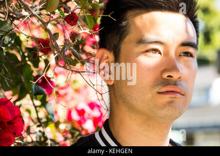 Portrait d'un homme chinois sérieux près de l'arbre à fleurs Banque D'Images