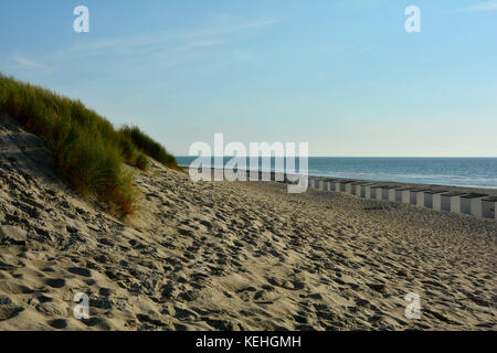 Cabines de plage et de l'avoine de plage dans les dunes sur la côte de la mer du Nord, aux Pays-Bas sur 225 Banque D'Images