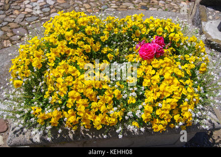 Idées de jardin et l'aménagement paysager avec décor fleur Banque D'Images