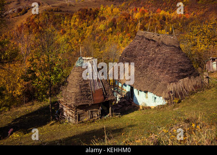 Paysage d'automne avec une petite maison en bois avec toit de chaume Banque D'Images