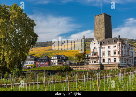 Château de Boosenburg Rüdesheim am Rhein, ville viticole en Allemagne Banque D'Images