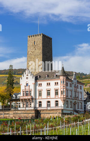 Château de Boosenburg Rüdesheim am Rhein, ville viticole en Allemagne Banque D'Images