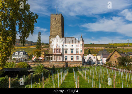 Château de Boosenburg Rüdesheim am Rhein, ville viticole en Allemagne Banque D'Images