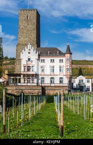 Château de Boosenburg Rüdesheim am Rhein, ville viticole en Allemagne Banque D'Images