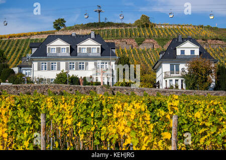 Vignobles d'automne à Rüdesheim am Rhein, ville viticole d'Allemagne Banque D'Images