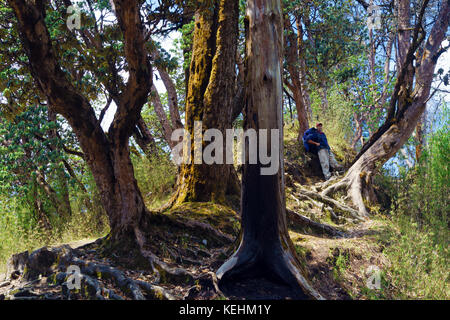 Trekker en faisant une pause sur le Sanctuaire de l'Annapurna trek, au Népal. Banque D'Images