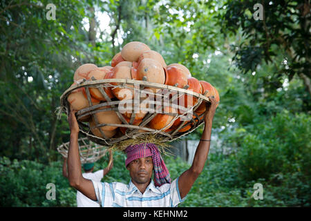 Un homme porte des pots d'argile dans un village à sirajdikhan à munshiganj au Bangladesh. Banque D'Images