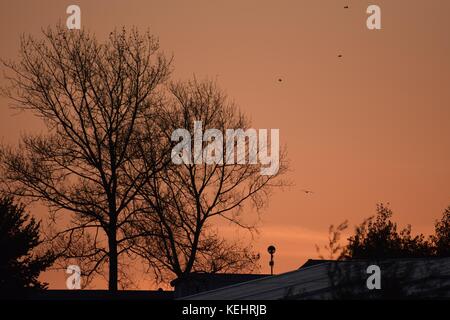 Coucher du soleil en vacances au paradis fiscaux devon cliffs holiday park exmouth Banque D'Images