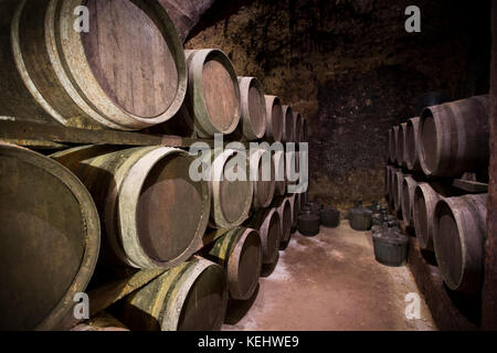 Barriques de vin Rioja maturation à Carlos San Pedro Bodega winery dans la ville médiévale de Laguardia en Pays Basque, Espagne Banque D'Images