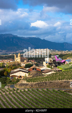 Marques de Riscal Bodega Winery, vignes et l'hôtel Marques de Riscal, conçu par Frank O Gehry à Elciego en Rioja Alavesa, Espagne Banque D'Images