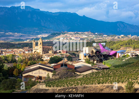 Marques de Riscal Bodega Winery, vignes et l'hôtel Marques de Riscal, conçu par Frank O Gehry à Elciego en Rioja Alavesa, Espagne Banque D'Images