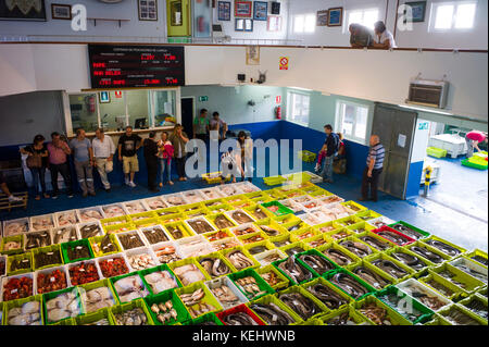 Vente aux enchères de poisson fraîchement pêché à confradia de pescadores de Luarca, confédération des pêcheurs de Luarca, puerto luarca, Espagne Banque D'Images