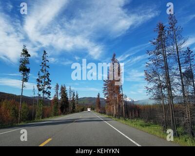 John D. Rockefeller jr Memorial Parkway entre Yellowstone et Grand Teton National parks Banque D'Images