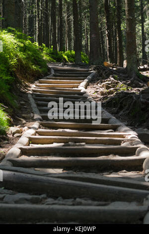 Natura 2000, Kraków, Pologne, l'Europe. Dans l'escalier menant de la forêt de Babia Góra. Banque D'Images