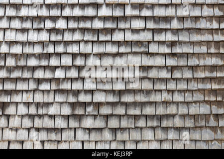 Mur de bois couverte d'ardoise à Honfleur, France. fond texturé gris. Banque D'Images