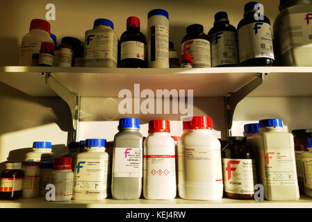 Étagères de produits chimiques dans un laboratoire Banque D'Images