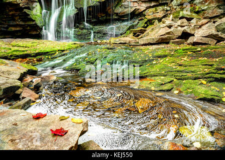 Elakala cascade dans le parc d'état de Blackwater Falls en Virginie de l'Ouest au cours de l'automne avec les feuilles rouges feuillage Banque D'Images