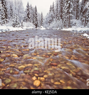 Neige de l'hiver le long du ruisseau perdu dans la Swan Valley près de Swan Lake, Montana Banque D'Images