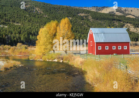 Grange rouge et couleurs d'automne le long de la rivière près de Ruby, l'aulne montana Banque D'Images