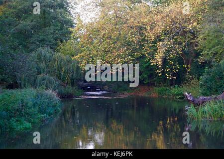 Gade rivière en automne, cassiobury park Watford, Royaume-Uni Banque D'Images