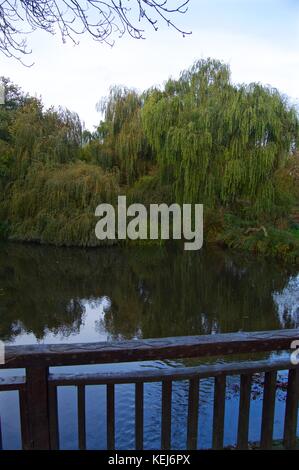 Gade rivière en automne, cassiobury park Watford, Royaume-Uni Banque D'Images