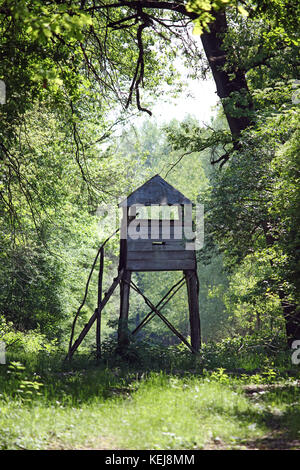 Chasseur en bois en forêt tour Banque D'Images