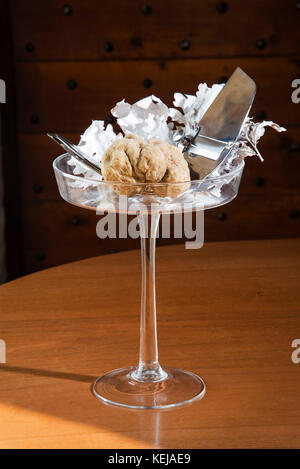 La truffe blanche magnifique sur une tasse en verre avec piédestal, aux truffes coupées en acier, argent sur table en bois, de l'alba langhe dans le Piémont en Italie. Banque D'Images