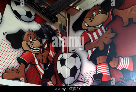 Une vue générale à l'intérieur du terrain de Southampton avant le match de la Premier League au stade St Mary's, Southampton. APPUYEZ SUR ASSOCIATION photo. Date de la photo: Samedi 21 octobre 2017. Voir PA Story FOOTBALL Southampton. Le crédit photo devrait se lire comme suit : Adam Davy/PA Wire. RESTRICTIONS : aucune utilisation avec des fichiers audio, vidéo, données, listes de présentoirs, logos de clubs/ligue ou services « en direct » non autorisés. Utilisation en ligne limitée à 75 images, pas d'émulation vidéo. Aucune utilisation dans les Paris, les jeux ou les publications de club/ligue/joueur unique. Banque D'Images