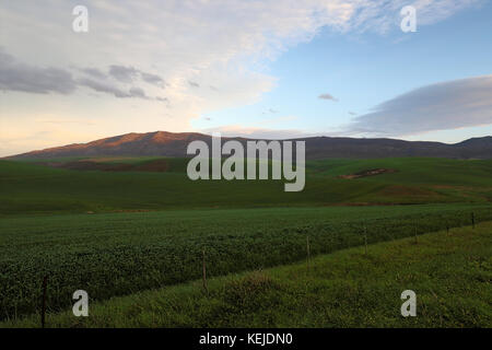 Breautiful vue sur les collines de la gamme du Drakensberg, afrique du sud. Banque D'Images