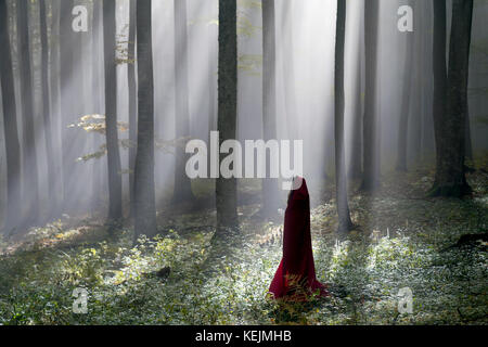 Red Riding Hood portrait dans la forêt brumeuse d'automne Banque D'Images