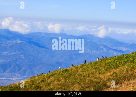 Kew Mae Pan Sentier Nature dans le parc national de Doi Inthanon - Chiang Mai, Thaïlande Banque D'Images