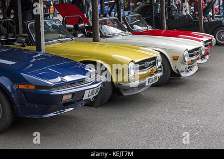 Une ligne de trois Triumph TR6 et TR7 l'une des voitures de sport britannique dans le paddock à la vitesse finale d'automne à Shelsley Walsh Hill Climb, Angleterre, 2017. Banque D'Images