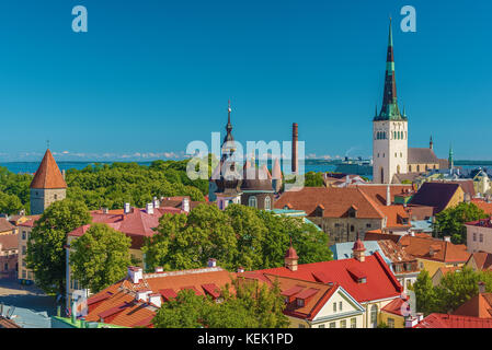 Tallinn, Estonie : Vue de dessus de la vieille ville Banque D'Images