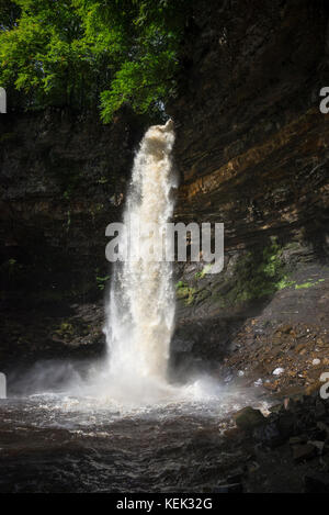 Hardraw force près de hawes dans le Yorkshire Dales national park, England. Banque D'Images