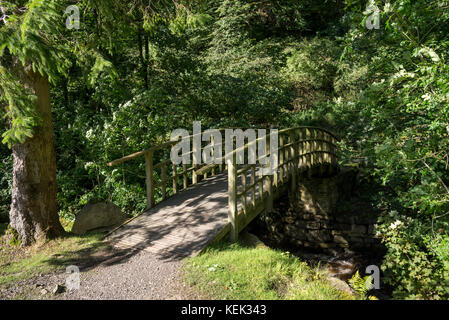 Pont sur la rivière menant à hardraw force dans le Yorkshire Dales national park, England. Banque D'Images