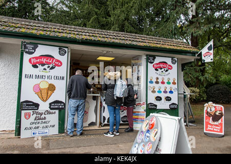 Melton Mowbrey, Royaume-Uni. 21 octobre 2017. Météo Royaume-Uni. Cavaliers et manteaux ordre du jour comme les vents battent les arbres le centre-ville parc, les visiteurs aiment le thé et les crèmes glacées regardant les canards colverts crédit: Clifford Norton/Alay Live News Banque D'Images