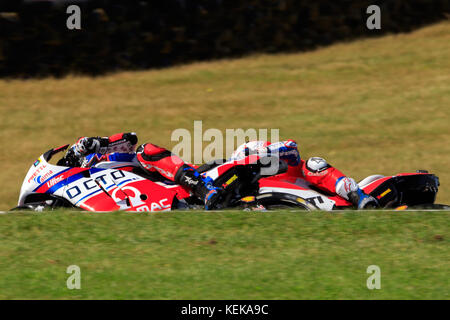 Melbourne, Australie. 22 octobre 2017. Motos MotoGP lors du Michelin Australian Motorcycle Grand Prix 2017 au Michelin Australian Motorcycle Grand Prix 2017, Australie le 22 octobre 2017. Crédit : Dave Hewison Sports/Alamy Live News Banque D'Images