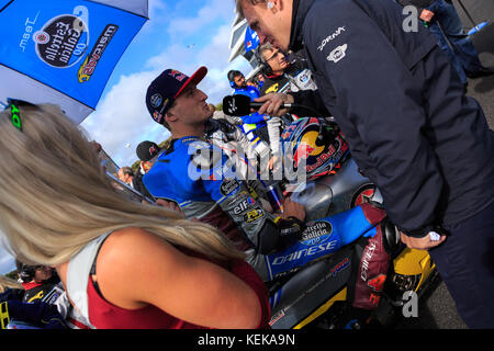 Melbourne, Australie. 22 octobre 2017. Sur la grille lors du Michelin Australian Motorcycle Grand Prix 2017 au Michelin Australian Motorcycle Grand Prix 2017, Australie le 22 octobre 2017. Crédit : Dave Hewison Sports/Alamy Live News Banque D'Images