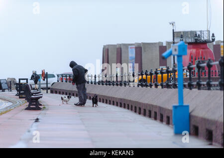 New Brighton, Wirral, UK. 22 octobre, 2017. Homme marche ses deux chiens tandis qu'un vent fort et une pluie forte hits New Brighton, sur la Péninsule de Wirral, suite orage Brian. Crédit : Paul Warburton/Alamy Live News Banque D'Images