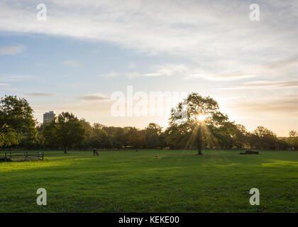 Richmond, Londres, Royaume-Uni. 22 oct. 2017 : une matinée ensoleillée et croustillante à Richmond suite aux vents violents associés à la tempête Brian qui a frappé la capitale ce week-end. Crédit : Bradley Smith/Alamy Live News. Banque D'Images