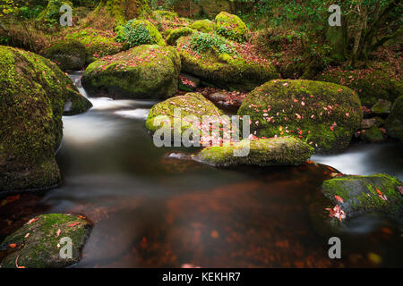 Becky falls en couleurs d'automne, Dartmoor National Park, Devon, UK Banque D'Images