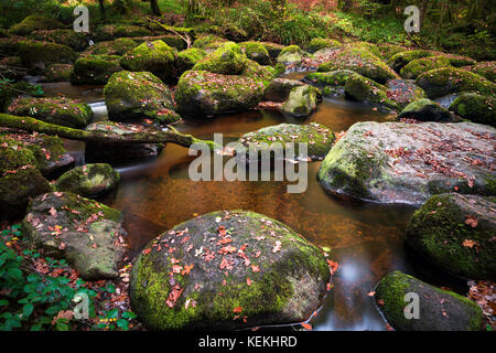 Becky falls en couleurs d'automne, Dartmoor National Park, Devon, UK Banque D'Images