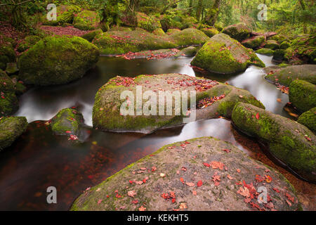 Becky falls en couleurs d'automne, Dartmoor National Park, Devon, UK Banque D'Images