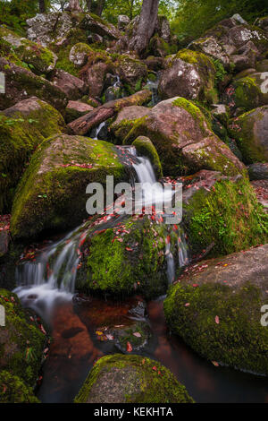 Becky falls en couleurs d'automne, Dartmoor National Park, Devon, UK Banque D'Images